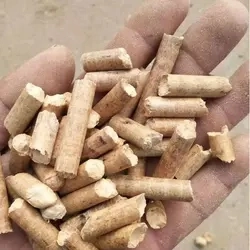 Biomass Energy Wood Pellet for Sale Origin Shape Heating Ash Place Model System Content Length Moisture Application Diameter