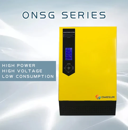 Onsg 800 W bis 4000 W Sinuswellen-Solarregler mit integriertem Wechselrichter